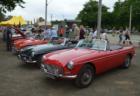 Cars on Display